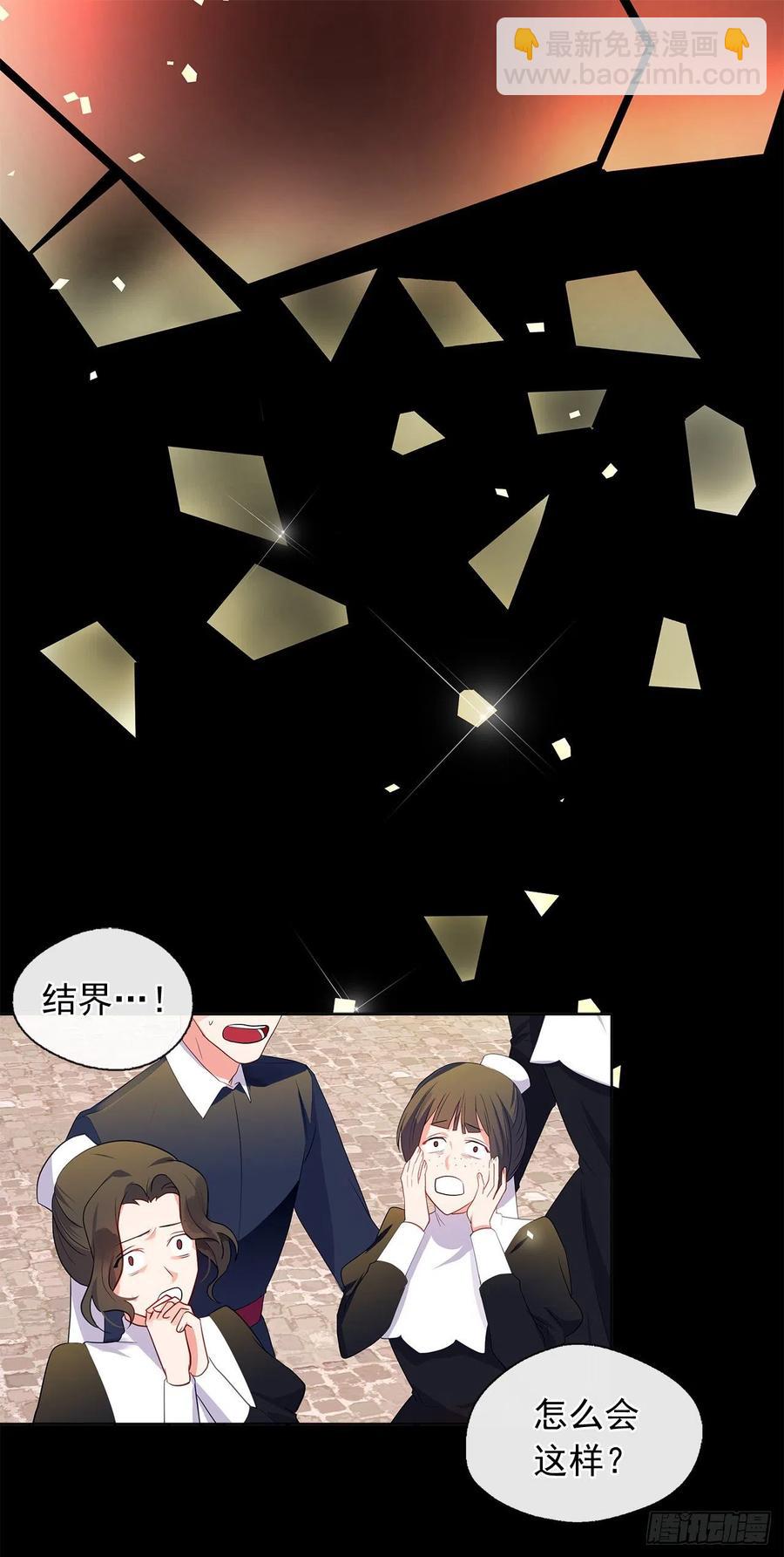 《皇帝的伴侣》86.杀了那个皇帝作为交易 第2页