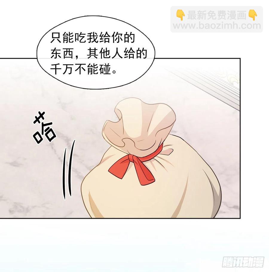 《皇帝的伴侣》84.是时候履行你的使命了 第26页