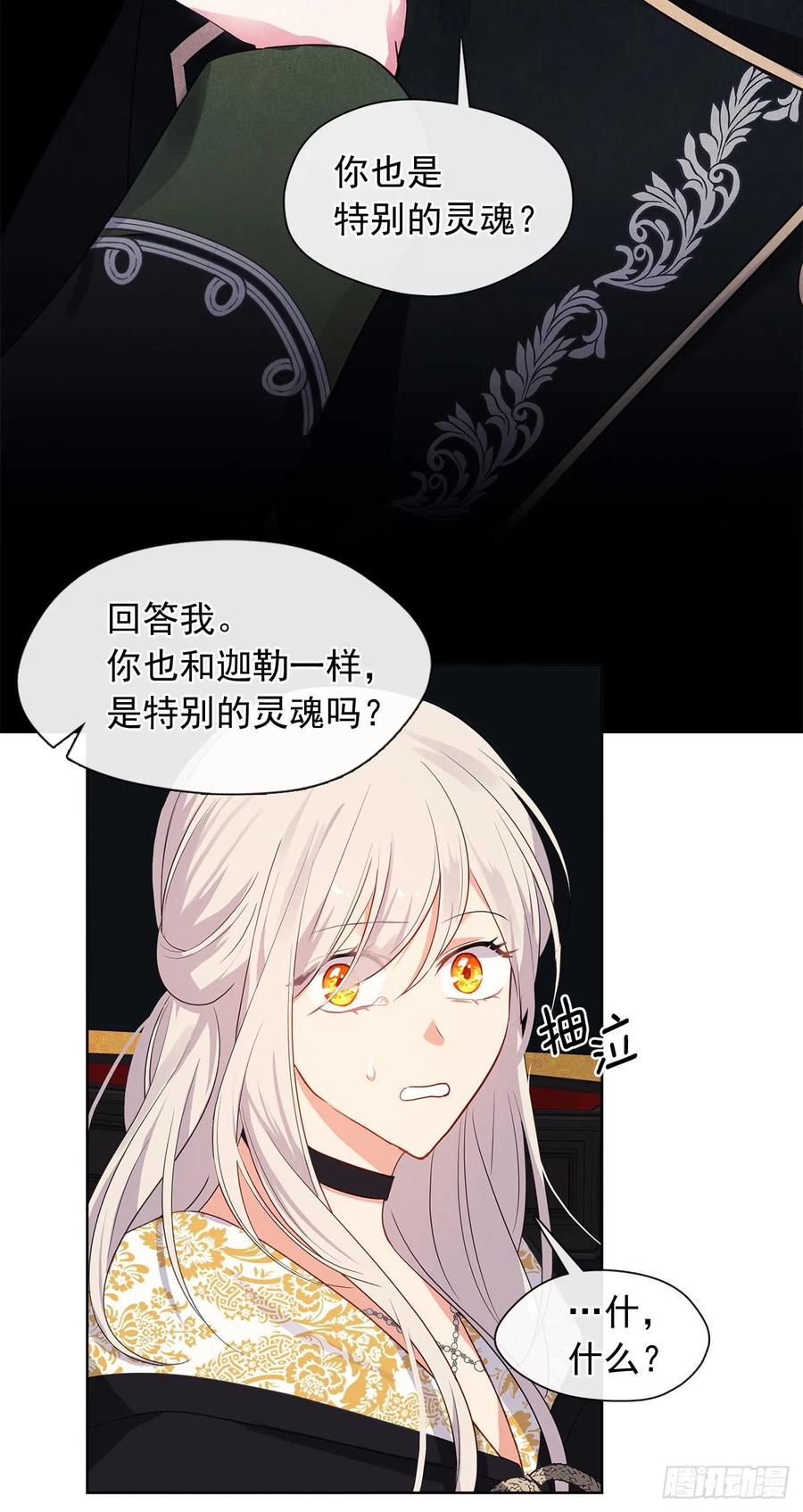 《皇帝的伴侣》90.用教皇之力换一人归来 第14页