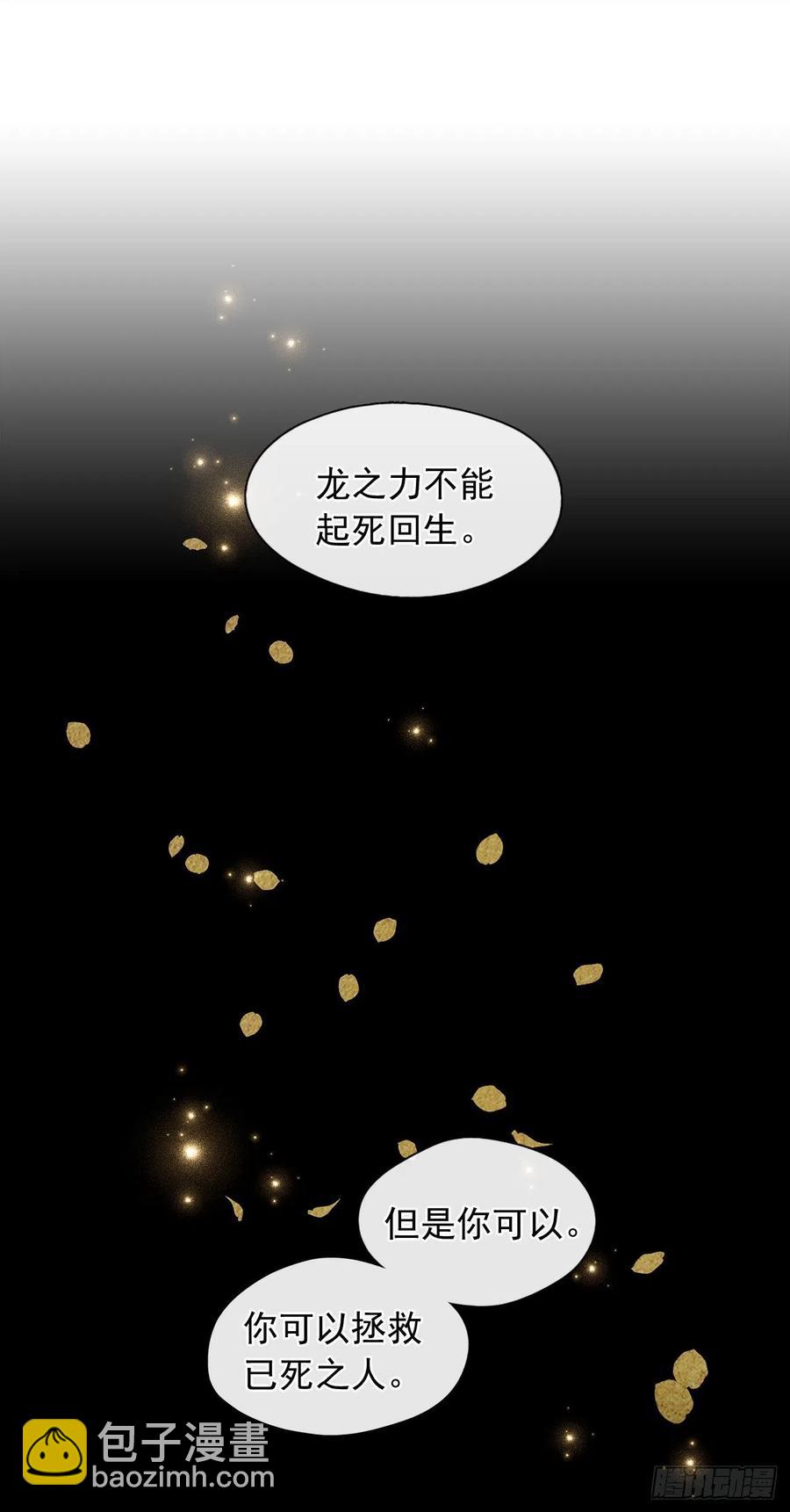 《皇帝的伴侣》90.用教皇之力换一人归来 第27页