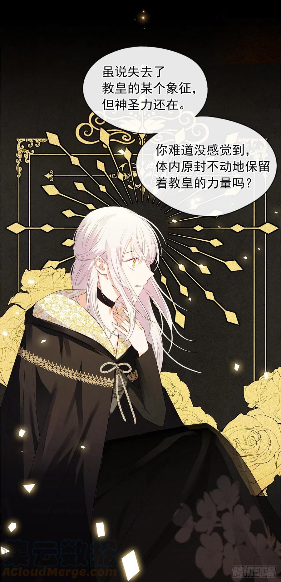 《皇帝的伴侣》90.用教皇之力换一人归来 第28页