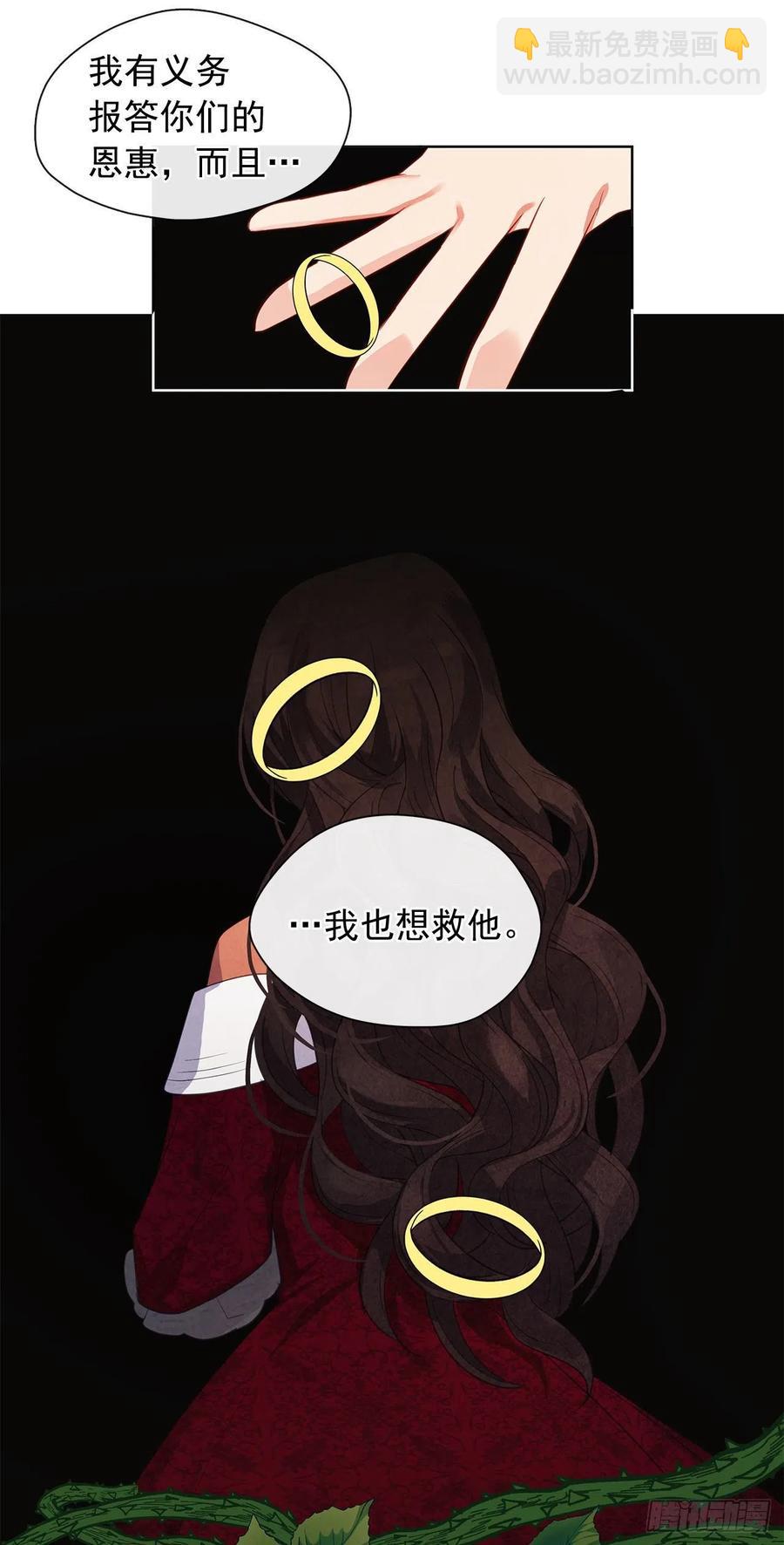 《皇帝的伴侣》90.用教皇之力换一人归来 第36页
