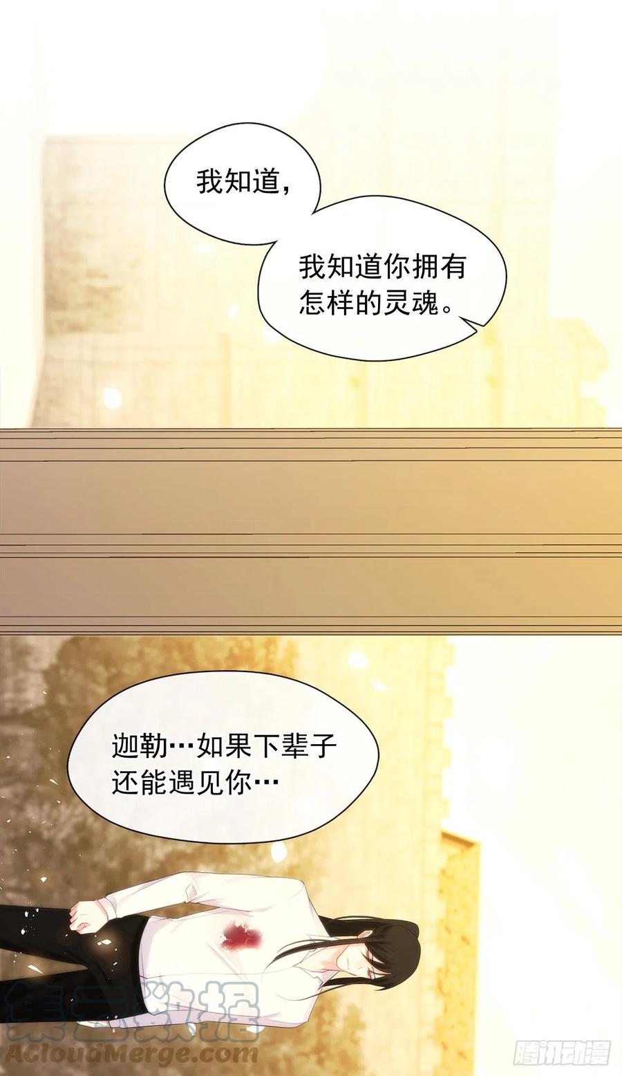 《皇帝的伴侣》89.希尔的命运不是你的玩具 第19页