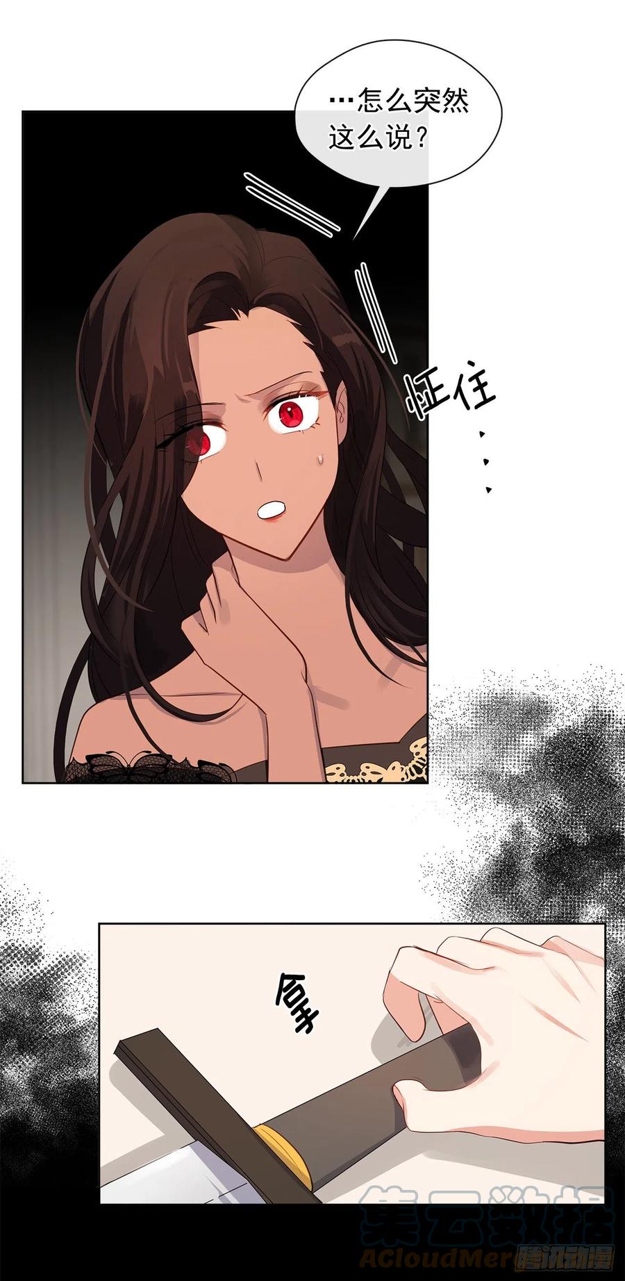 《皇帝的伴侣》89.希尔的命运不是你的玩具 第22页