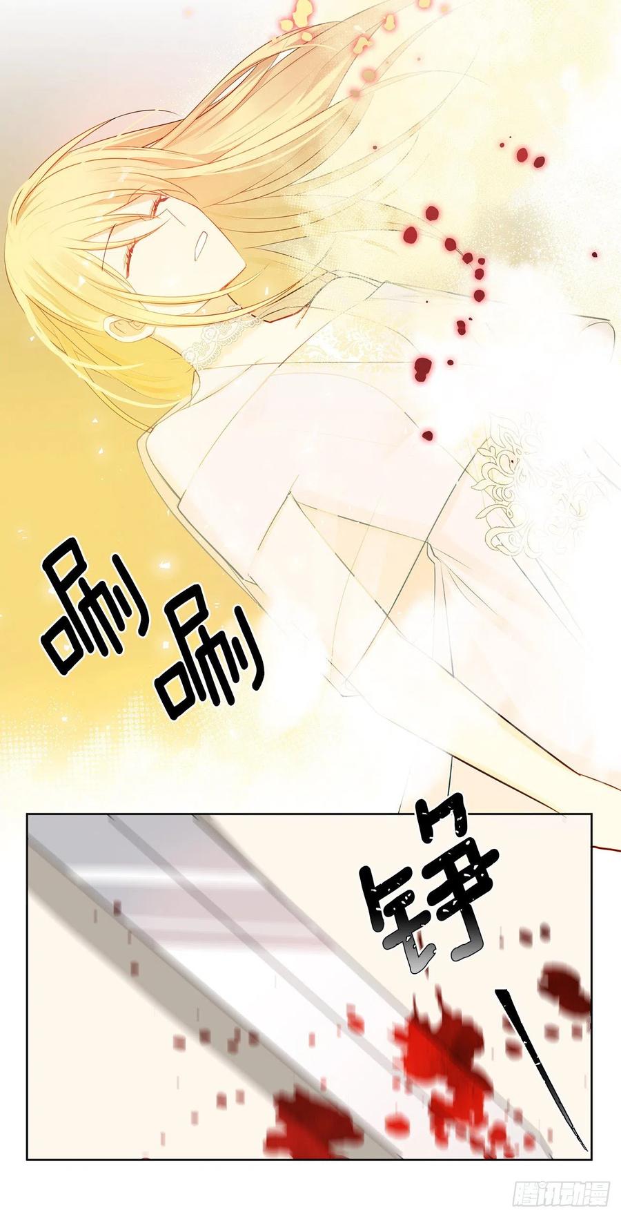 《皇帝的伴侣》89.希尔的命运不是你的玩具 第27页