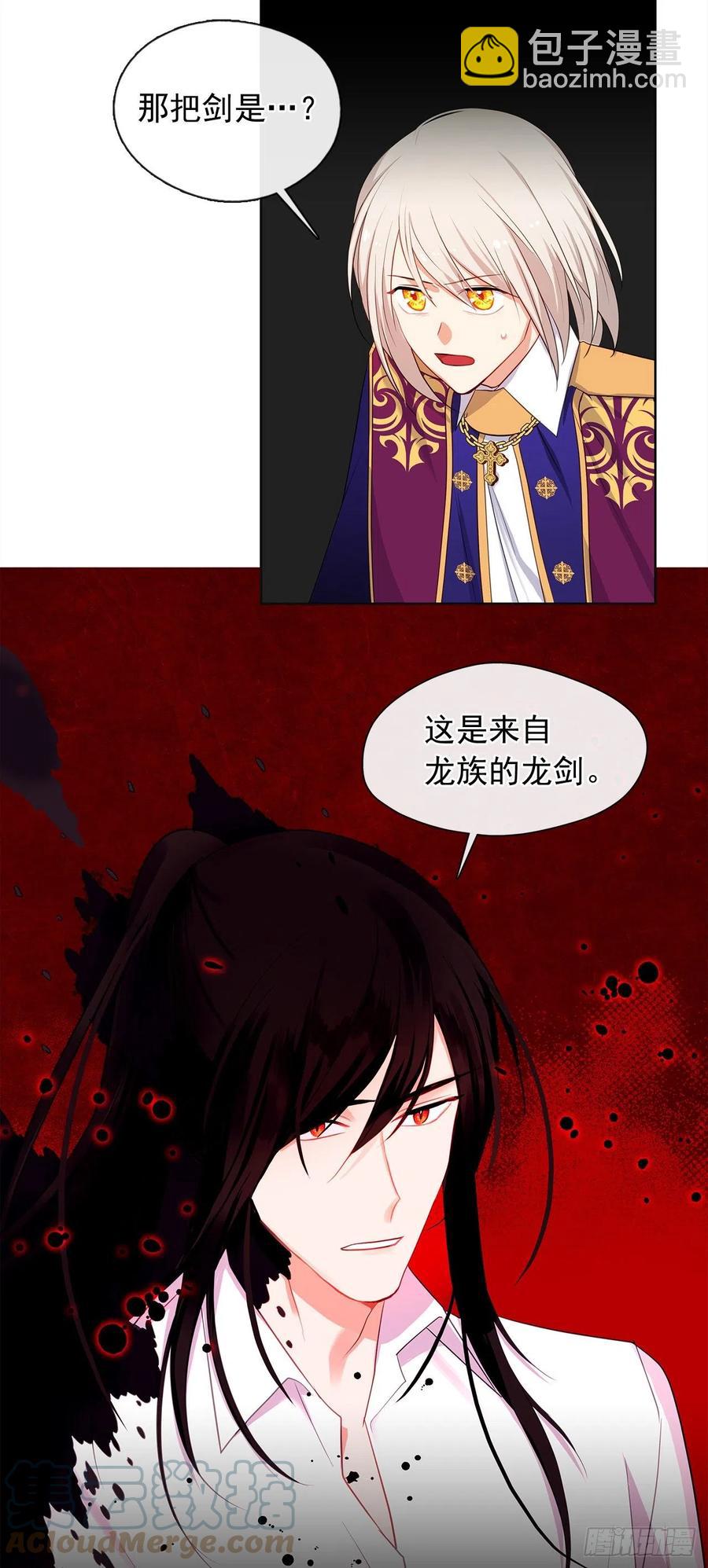 《皇帝的伴侣》88.希尔陨落，真正的教皇诞生 第16页