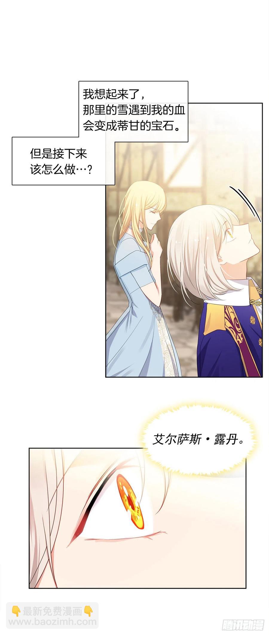 《皇帝的伴侣》88.希尔陨落，真正的教皇诞生 第39页
