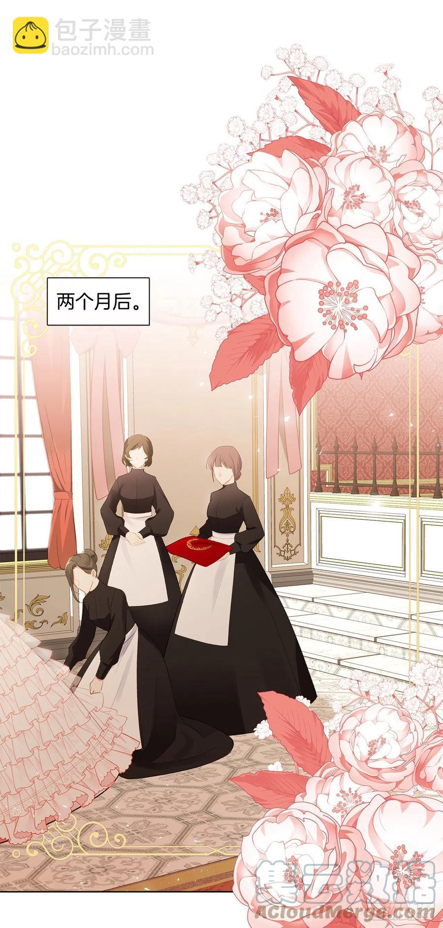 《皇帝的伴侣》番外8.盛大的婚礼 第28页