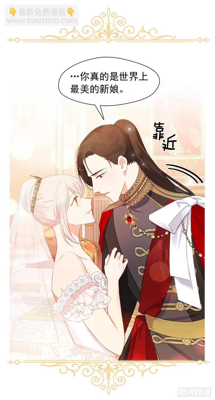 《皇帝的伴侣》番外8.盛大的婚礼 第38页
