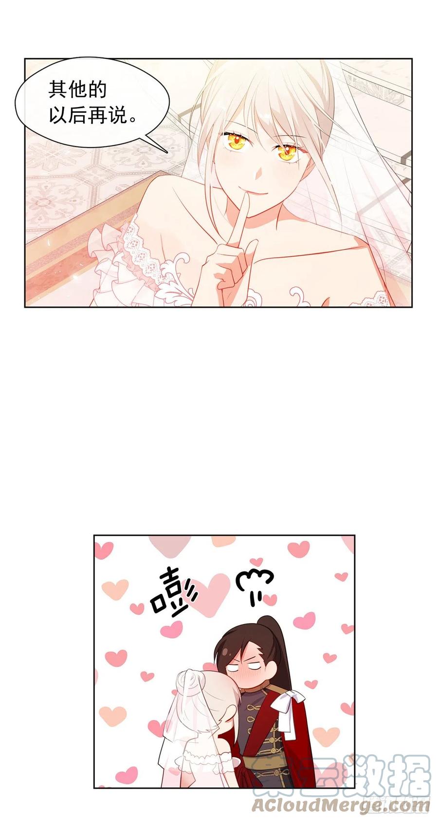 《皇帝的伴侣》番外8.盛大的婚礼 第40页