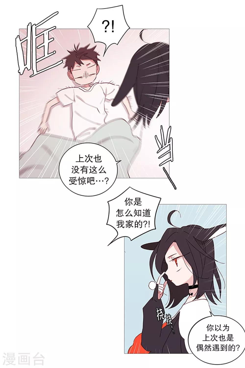 《动物灵魂管理局》第12话 咖啡店 第6页