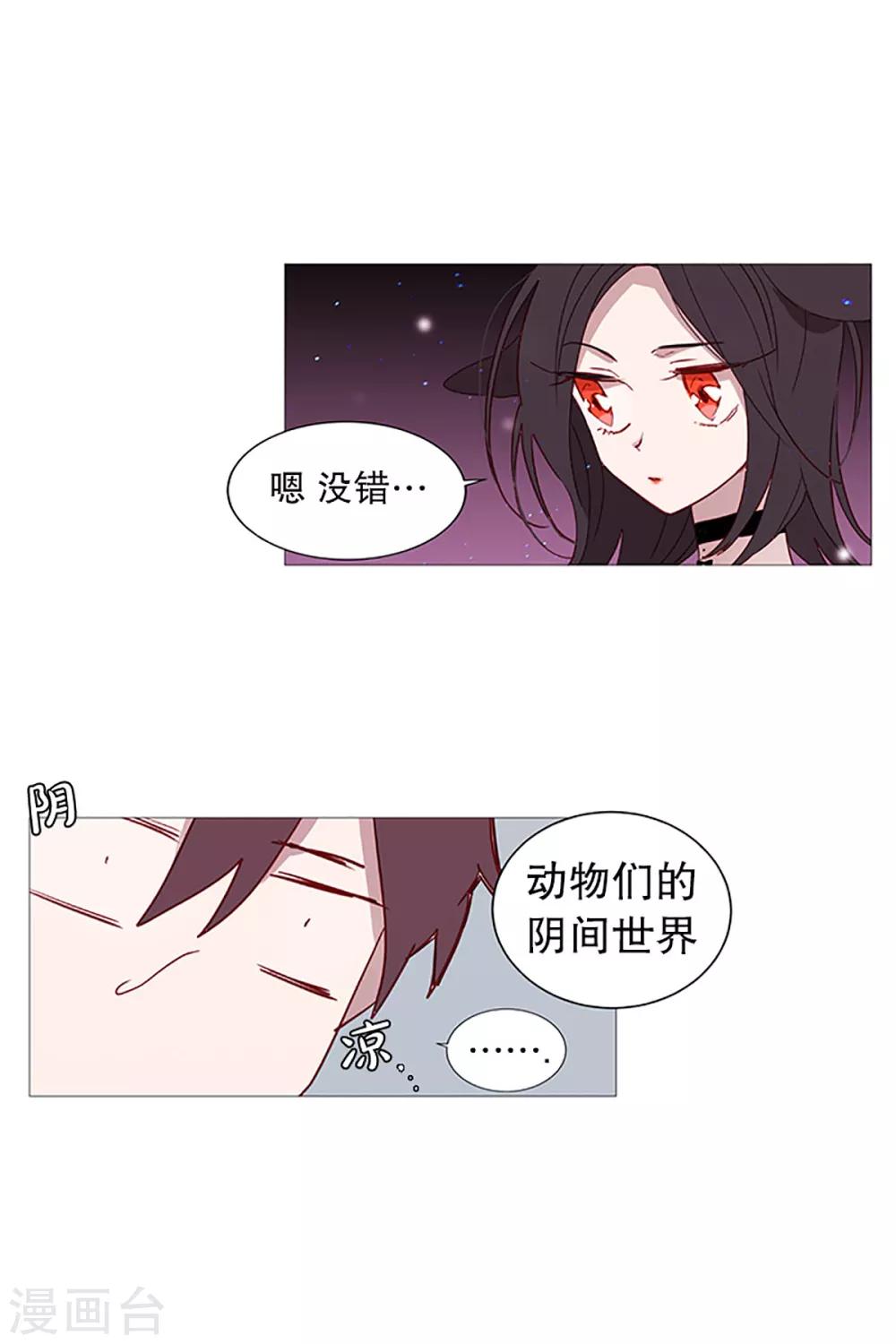 《动物灵魂管理局》第16话 动物们的阴间 第14页