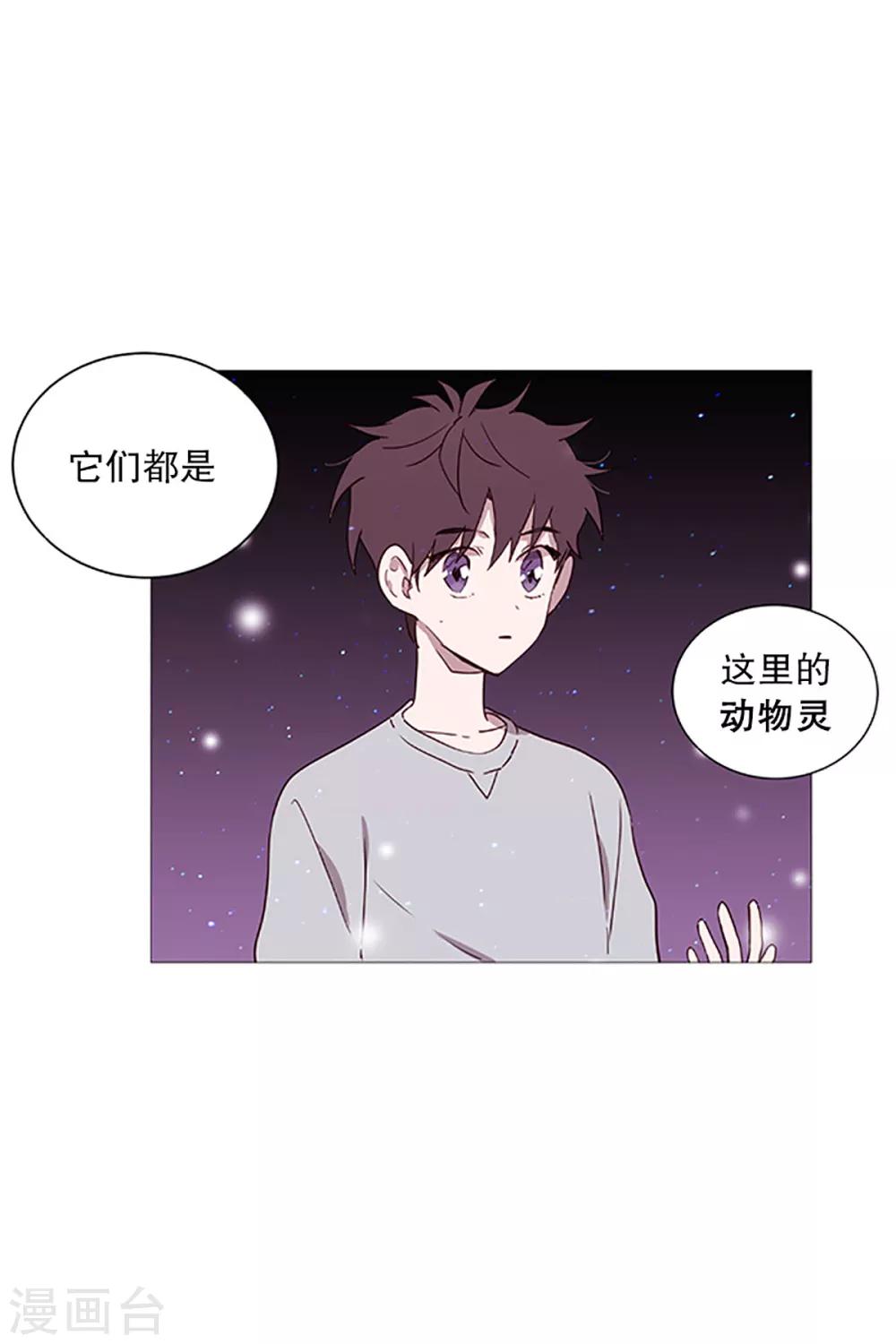 《动物灵魂管理局》第16话 动物们的阴间 第9页