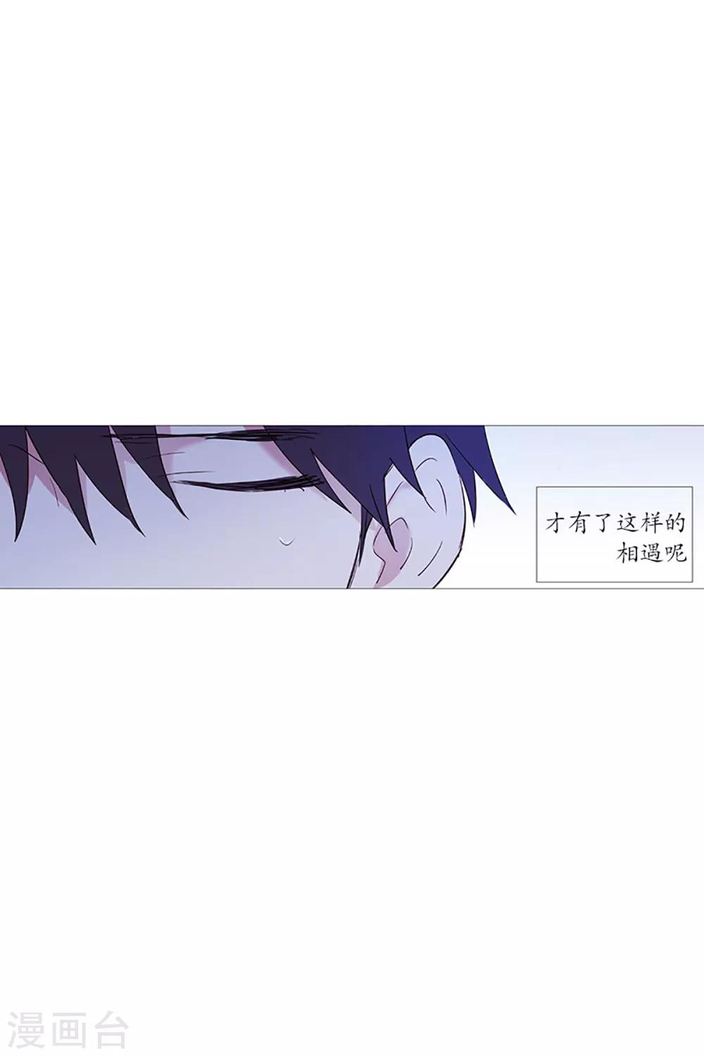 《动物灵魂管理局》第14话 真正的冬之夜 第5页