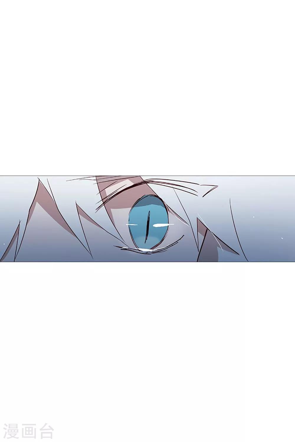 《动物灵魂管理局》第20话 盘算 第22页