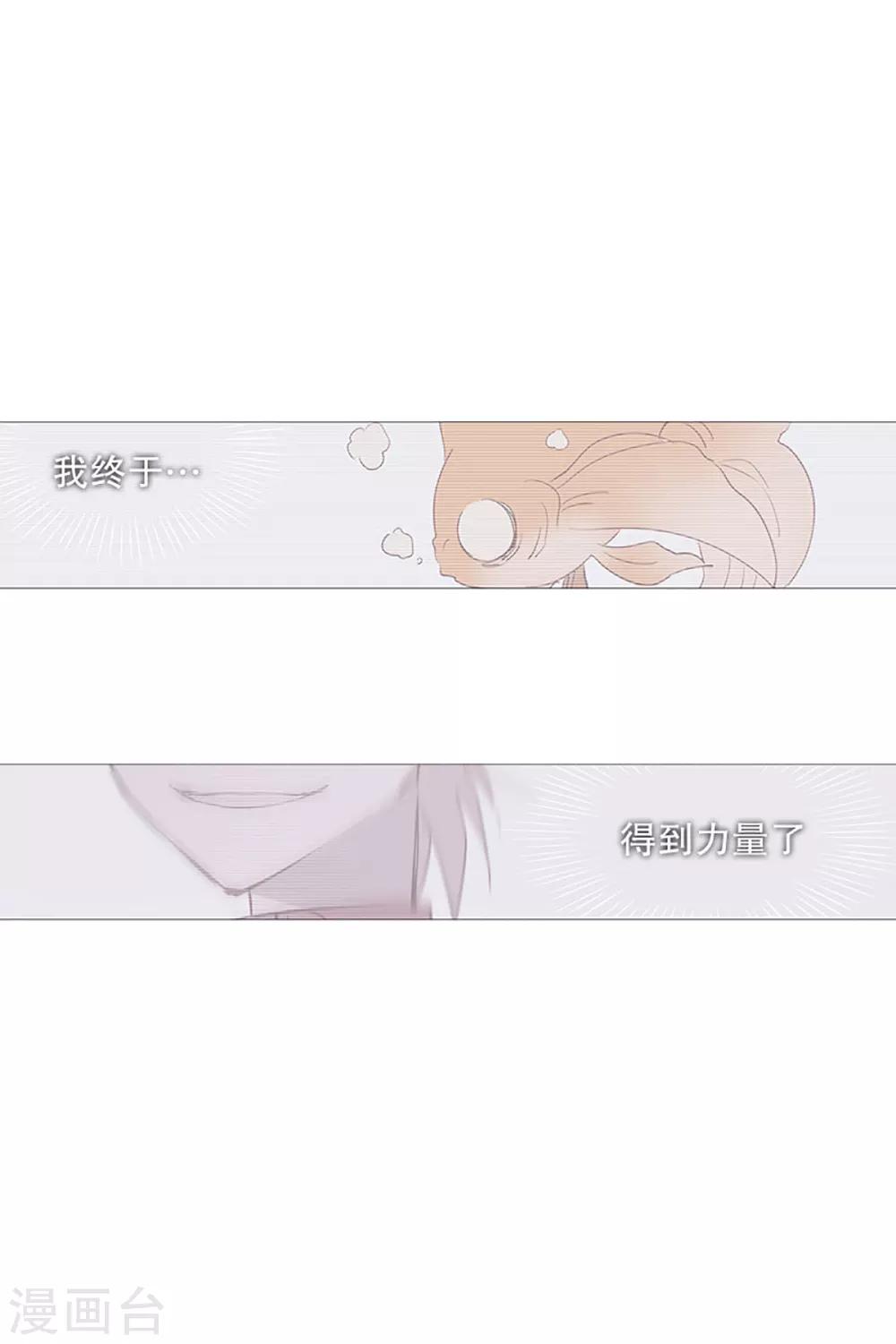 《动物灵魂管理局》第17话 条件 第2页