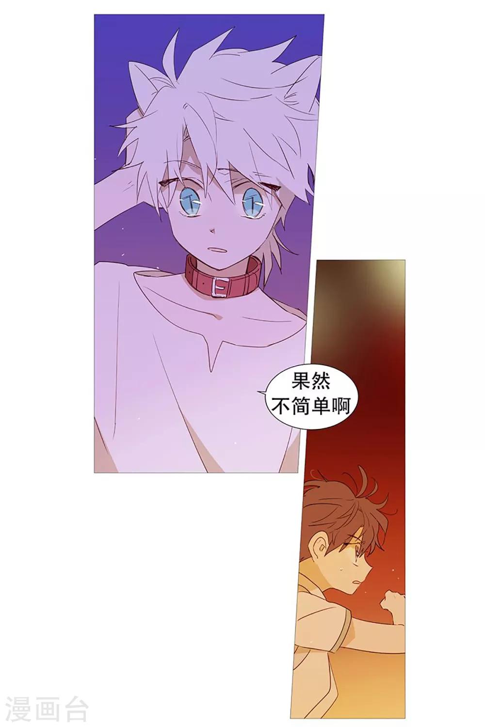 《动物灵魂管理局》第27话 相似 第19页
