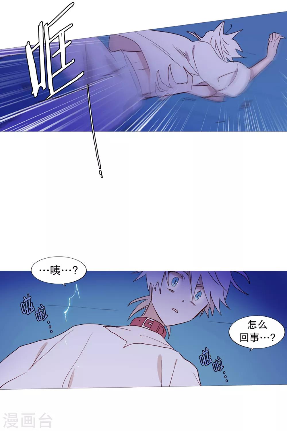 《动物灵魂管理局》第31话 绳结的力量 第2页
