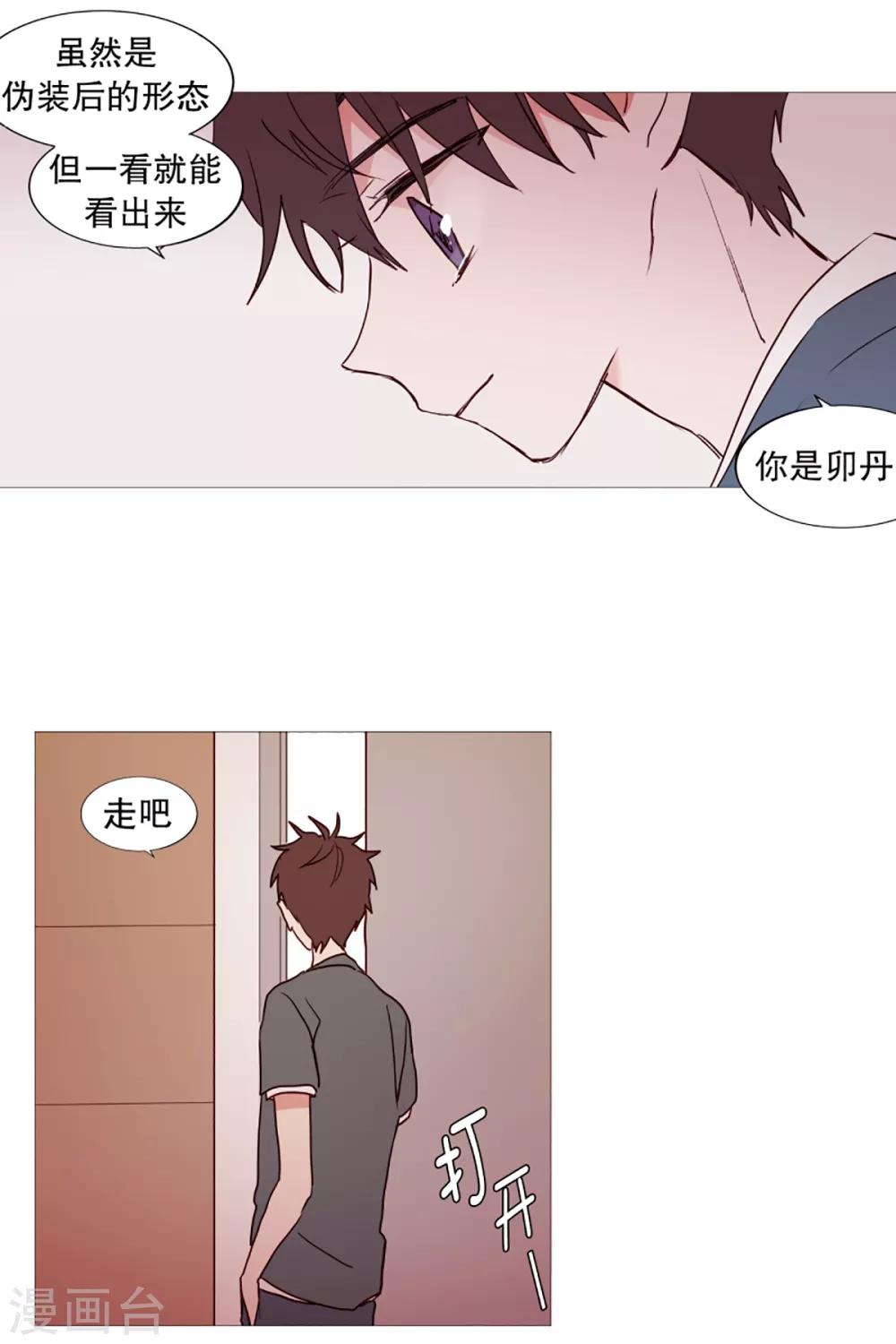 《动物灵魂管理局》第36话 空荡的家 第17页