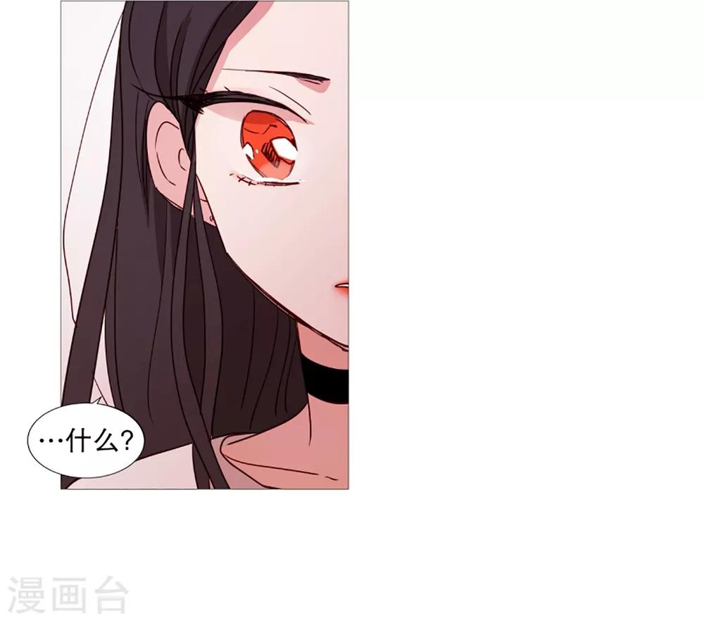 《动物灵魂管理局》第34话 以后的打算 第16页