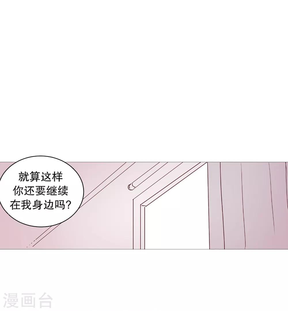 《动物灵魂管理局》第34话 以后的打算 第4页