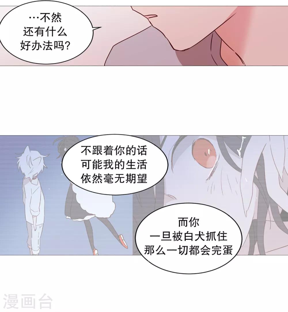 《动物灵魂管理局》第34话 以后的打算 第6页