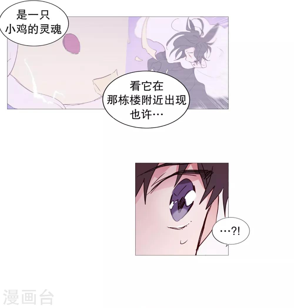 《动物灵魂管理局》第35话 要紧的事 第11页