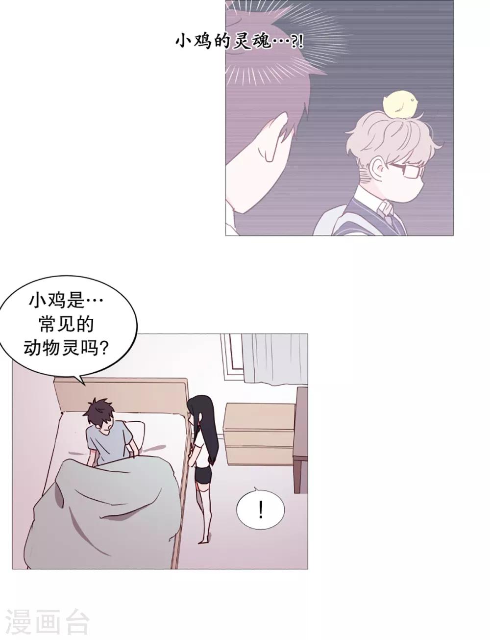 《动物灵魂管理局》第35话 要紧的事 第12页