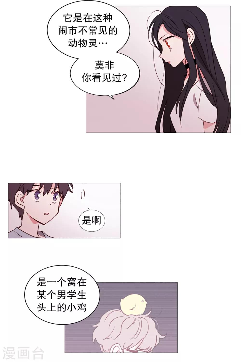 《动物灵魂管理局》第35话 要紧的事 第13页