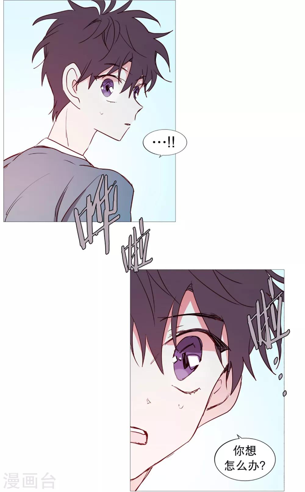 《动物灵魂管理局》第40话 小鸡灵的选择1 第1页