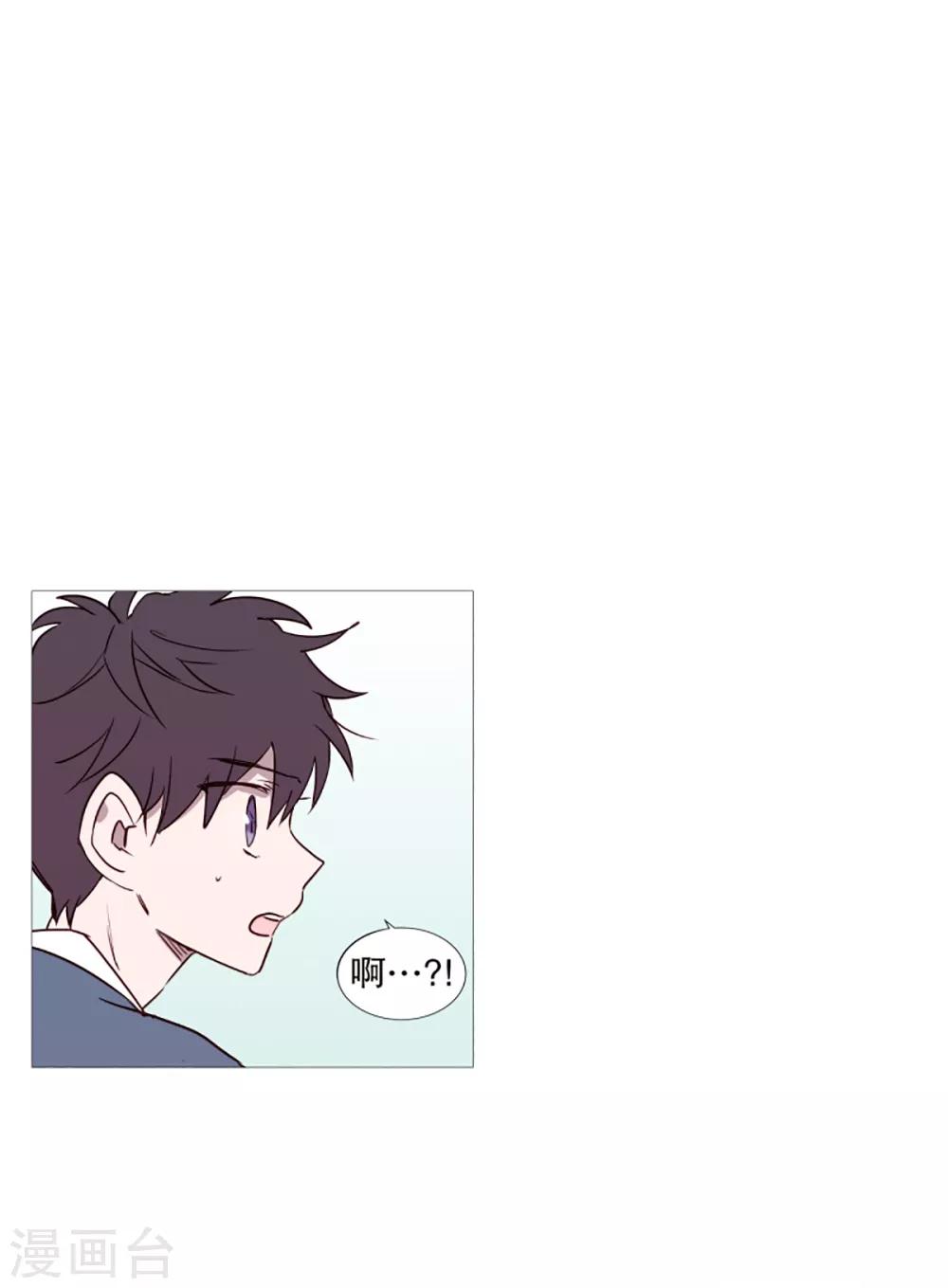 《动物灵魂管理局》第40话 小鸡灵的选择1 第4页