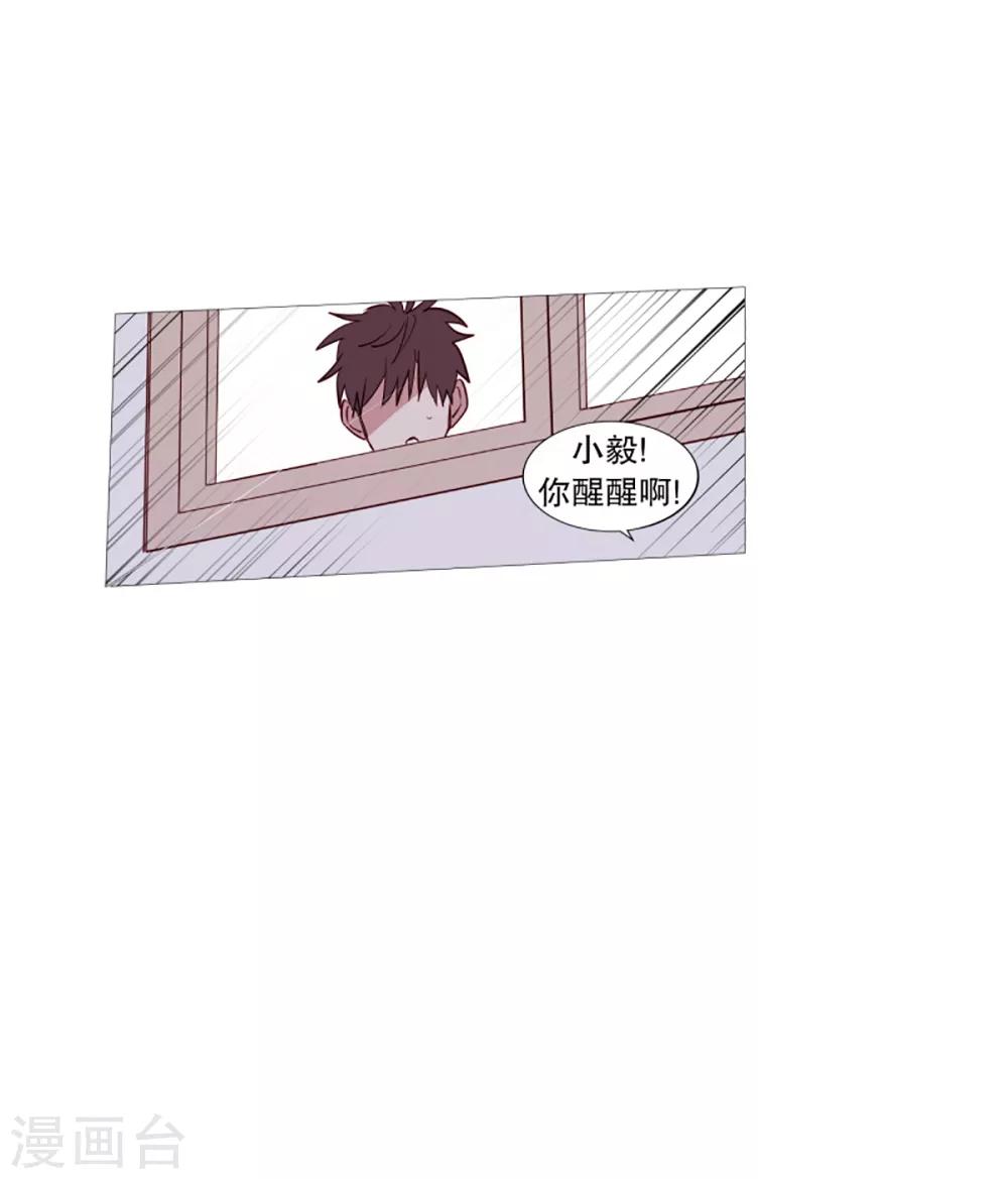 《动物灵魂管理局》第41话 小鸡灵的选择2 第19页