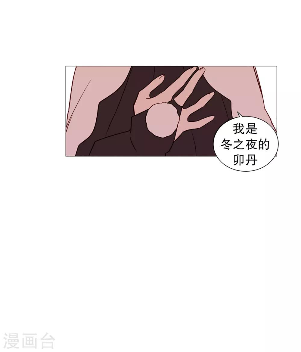 《动物灵魂管理局》第41话 小鸡灵的选择2 第3页