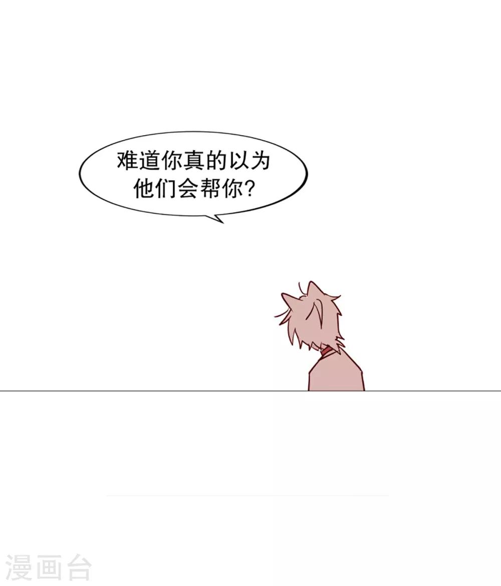 《动物灵魂管理局》第41话 小鸡灵的选择2 第7页