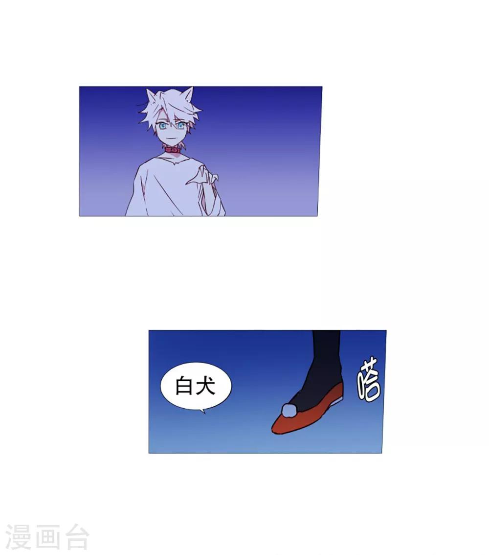 《动物灵魂管理局》第47话 打赌 第12页