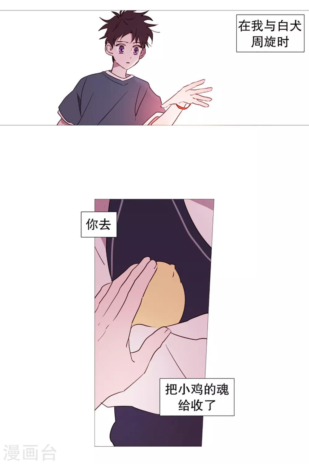 《动物灵魂管理局》第53话 小毅与小鸡 第16页