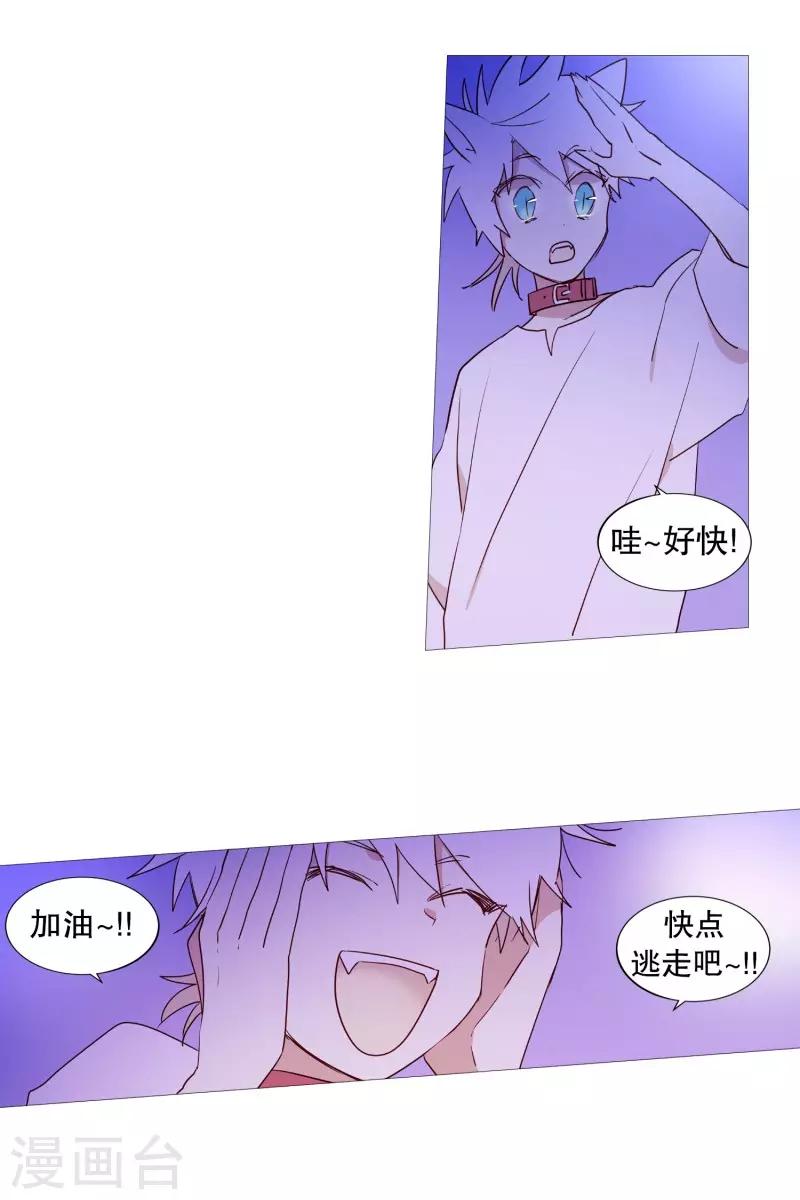 《动物灵魂管理局》第59话 白犭的内心世界2 第7页