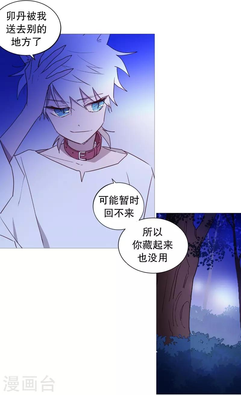《动物灵魂管理局》第58话 白犭的内心世界1 第17页