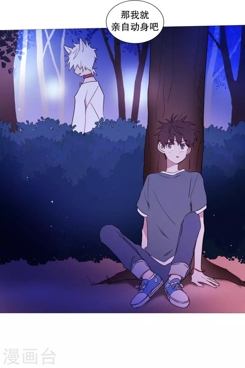 《动物灵魂管理局》第58话 白犭的内心世界1 第19页