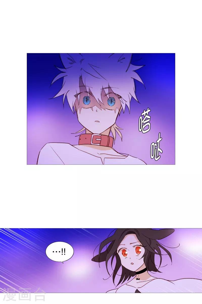 《动物灵魂管理局》第63话 彼此的问候 第5页