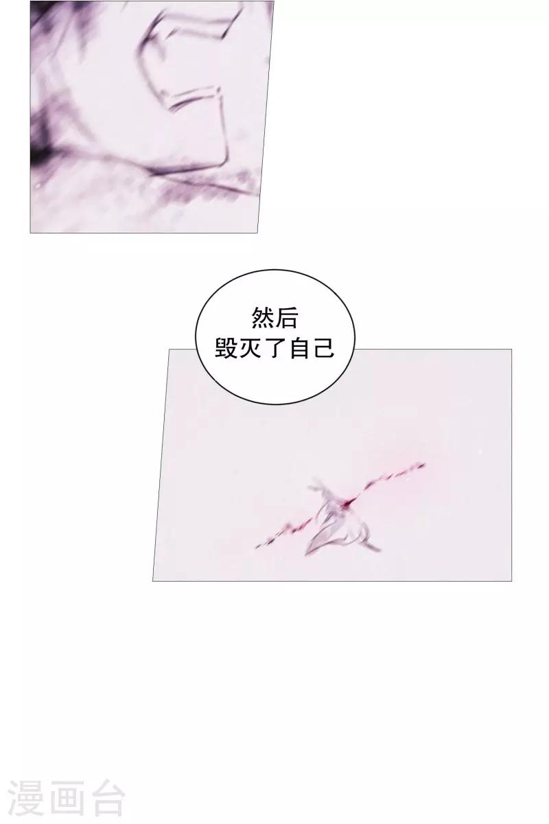 《动物灵魂管理局》第64话 曾经的白犭 第11页