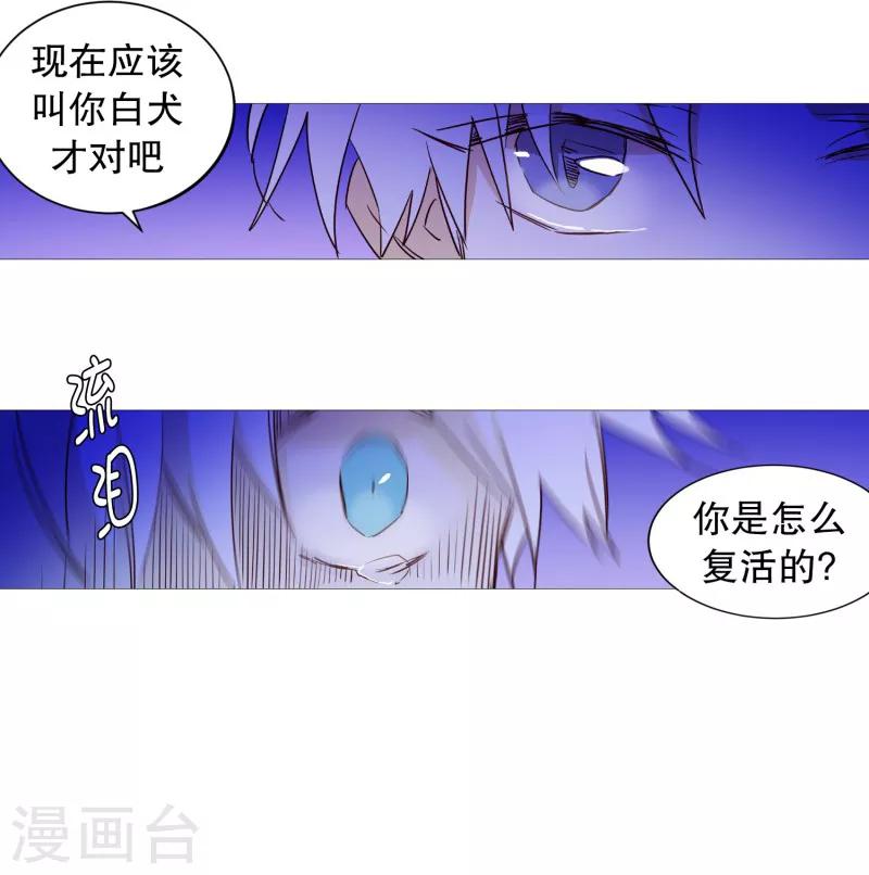 《动物灵魂管理局》第64话 曾经的白犭 第14页