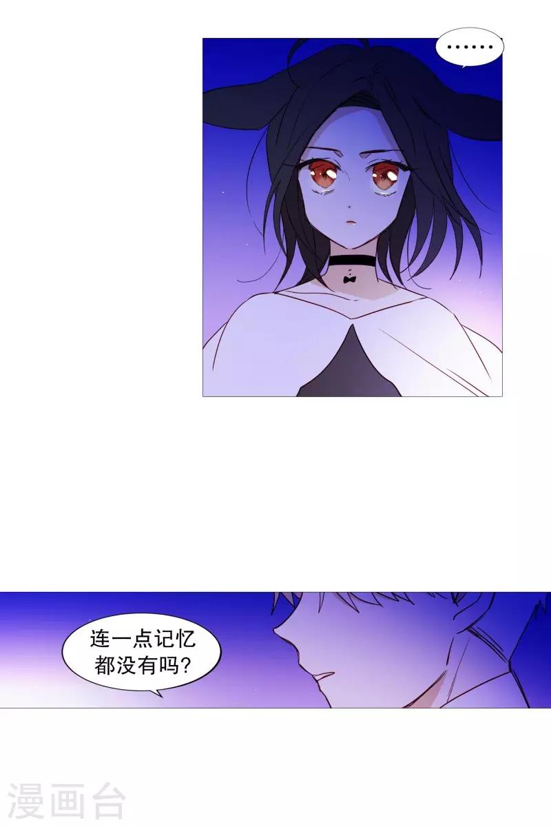 《动物灵魂管理局》第64话 曾经的白犭 第4页