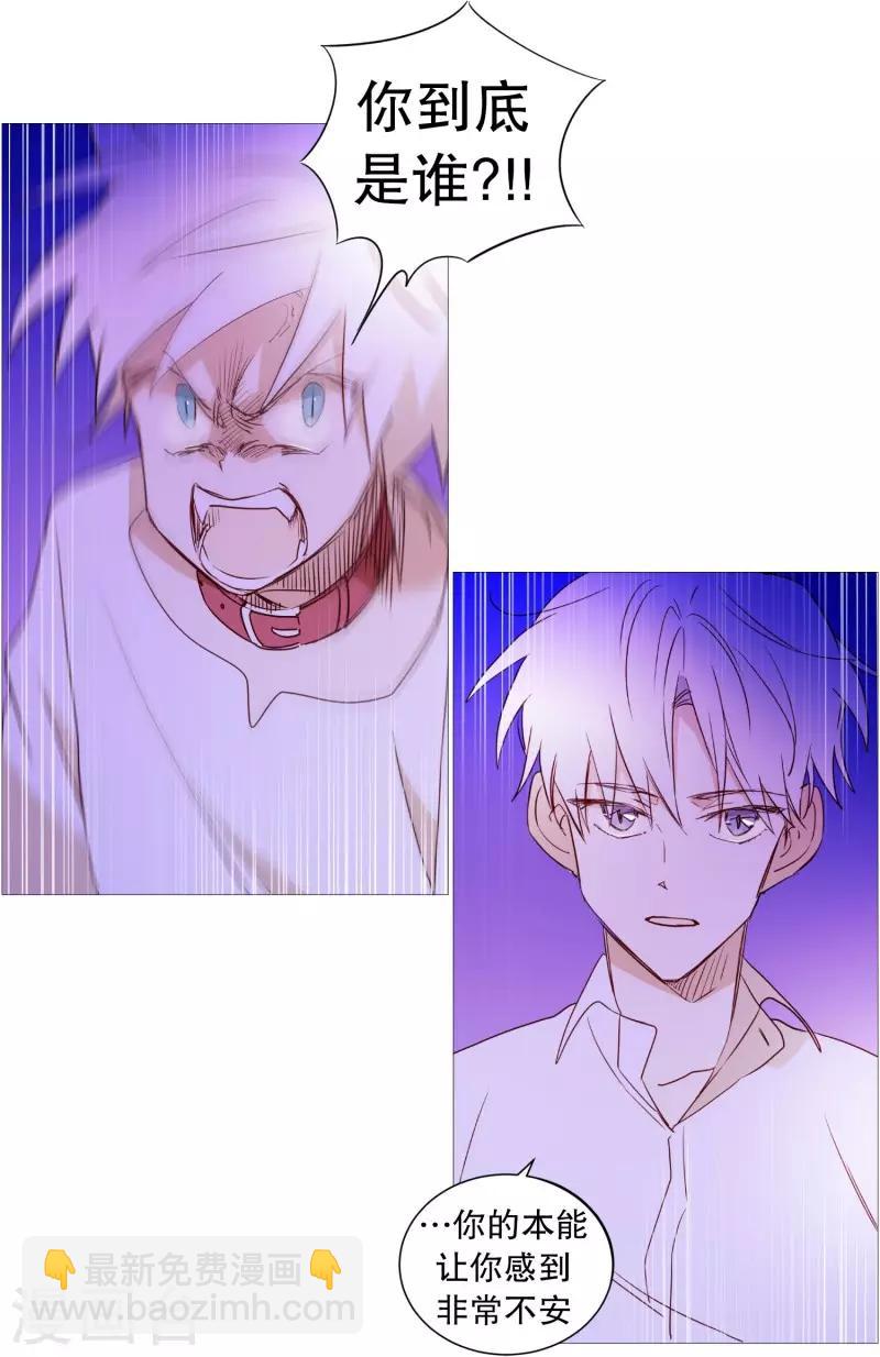 《动物灵魂管理局》第64话 曾经的白犭 第7页
