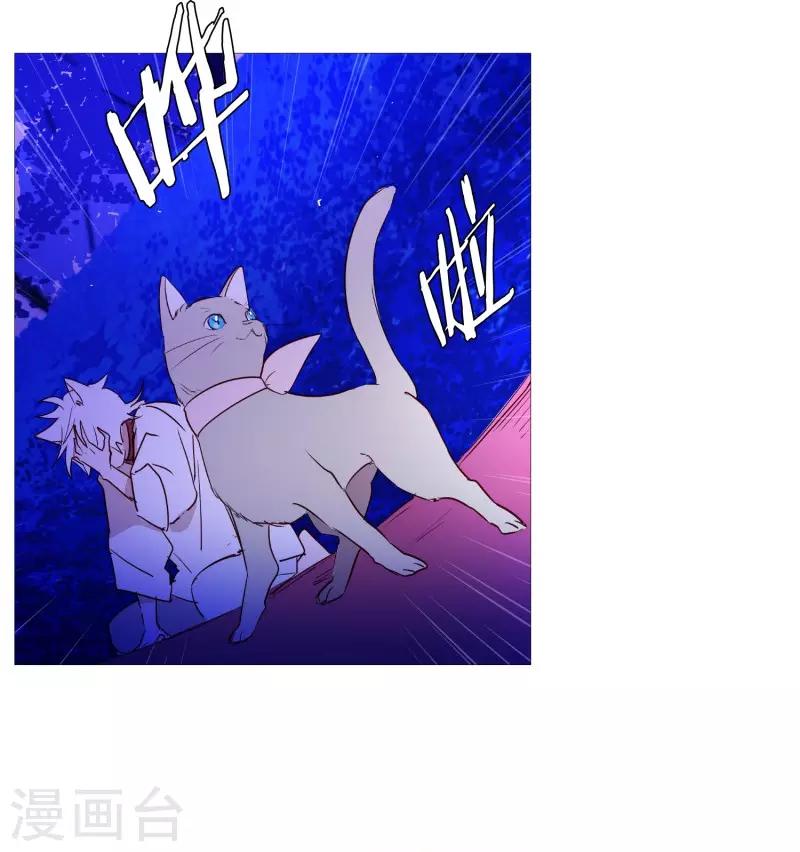 《动物灵魂管理局》第65话 猫灵 第11页