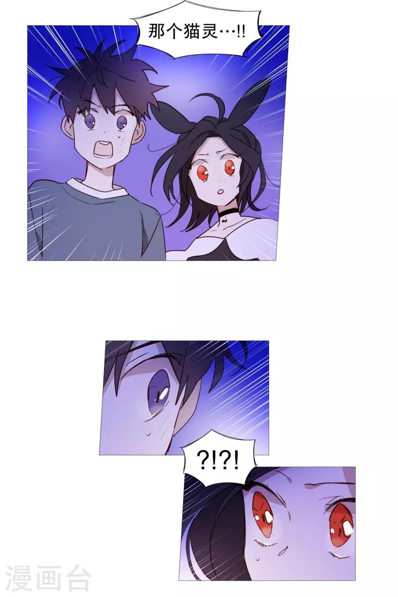 《动物灵魂管理局》第65话 猫灵 第13页