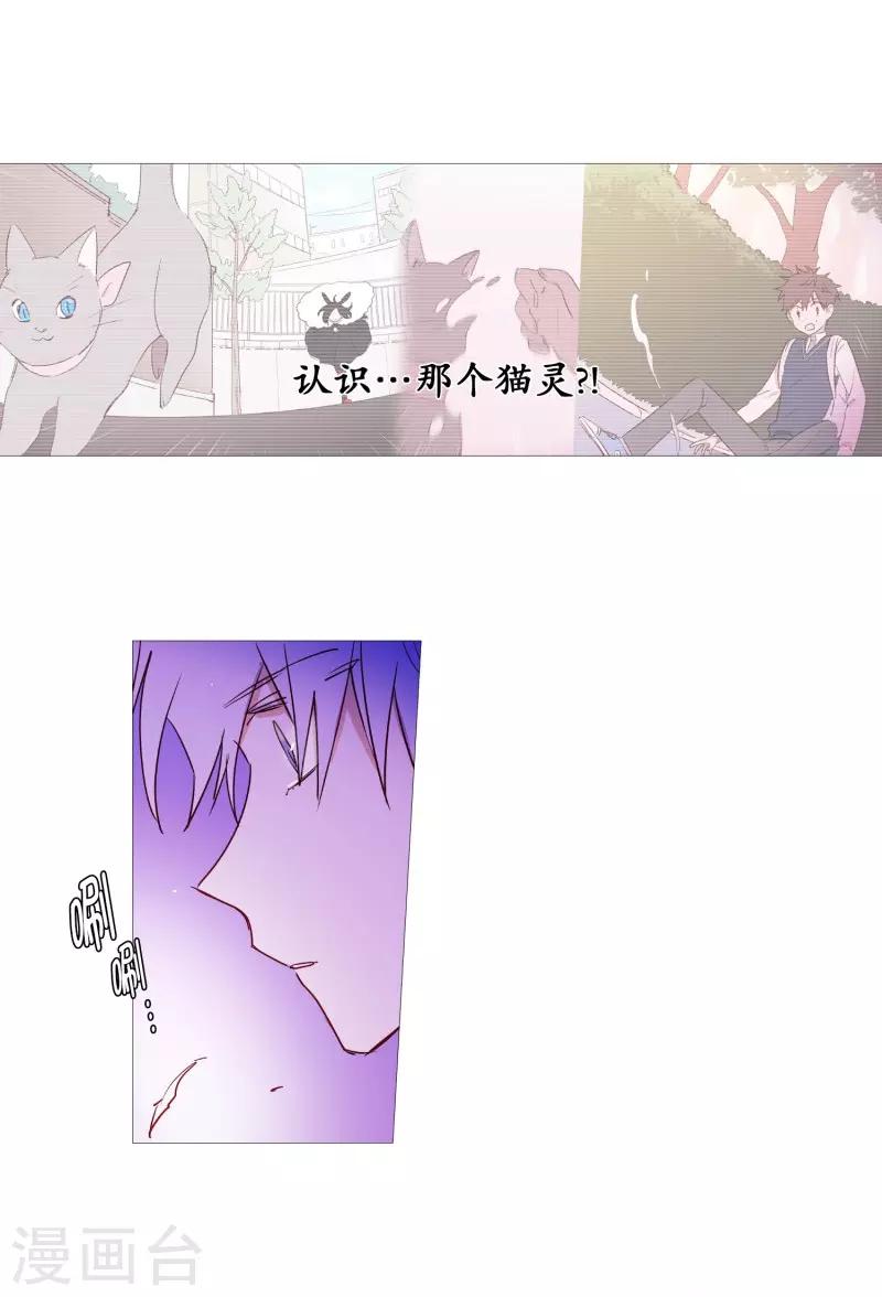 《动物灵魂管理局》第65话 猫灵 第14页