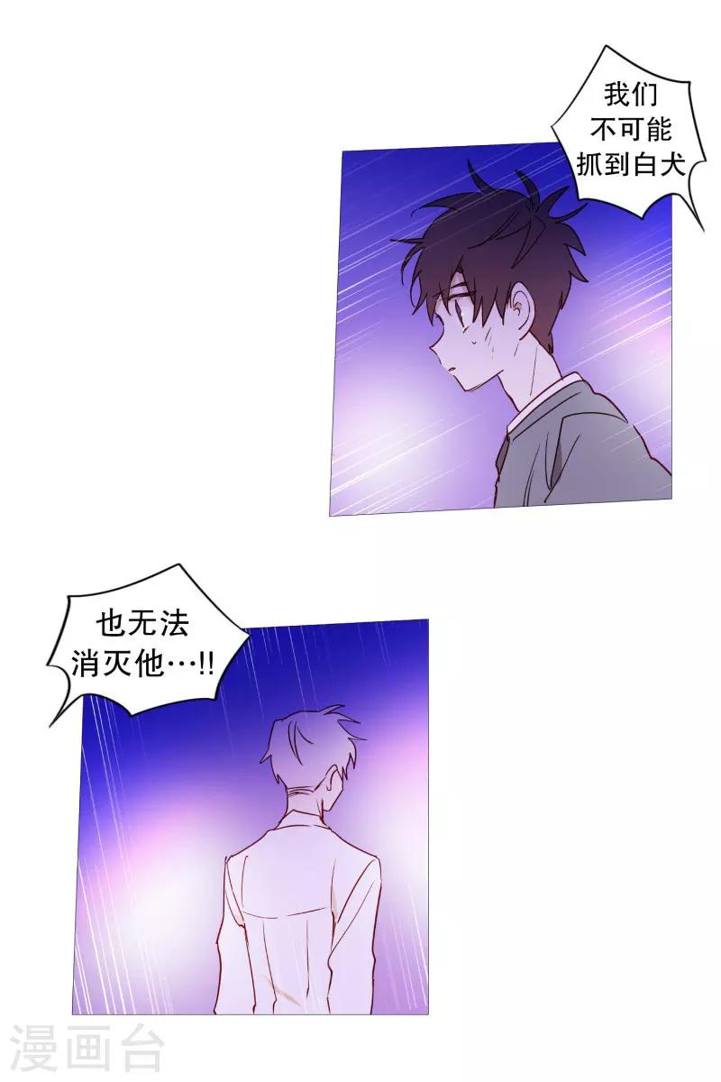 《动物灵魂管理局》第65话 猫灵 第20页