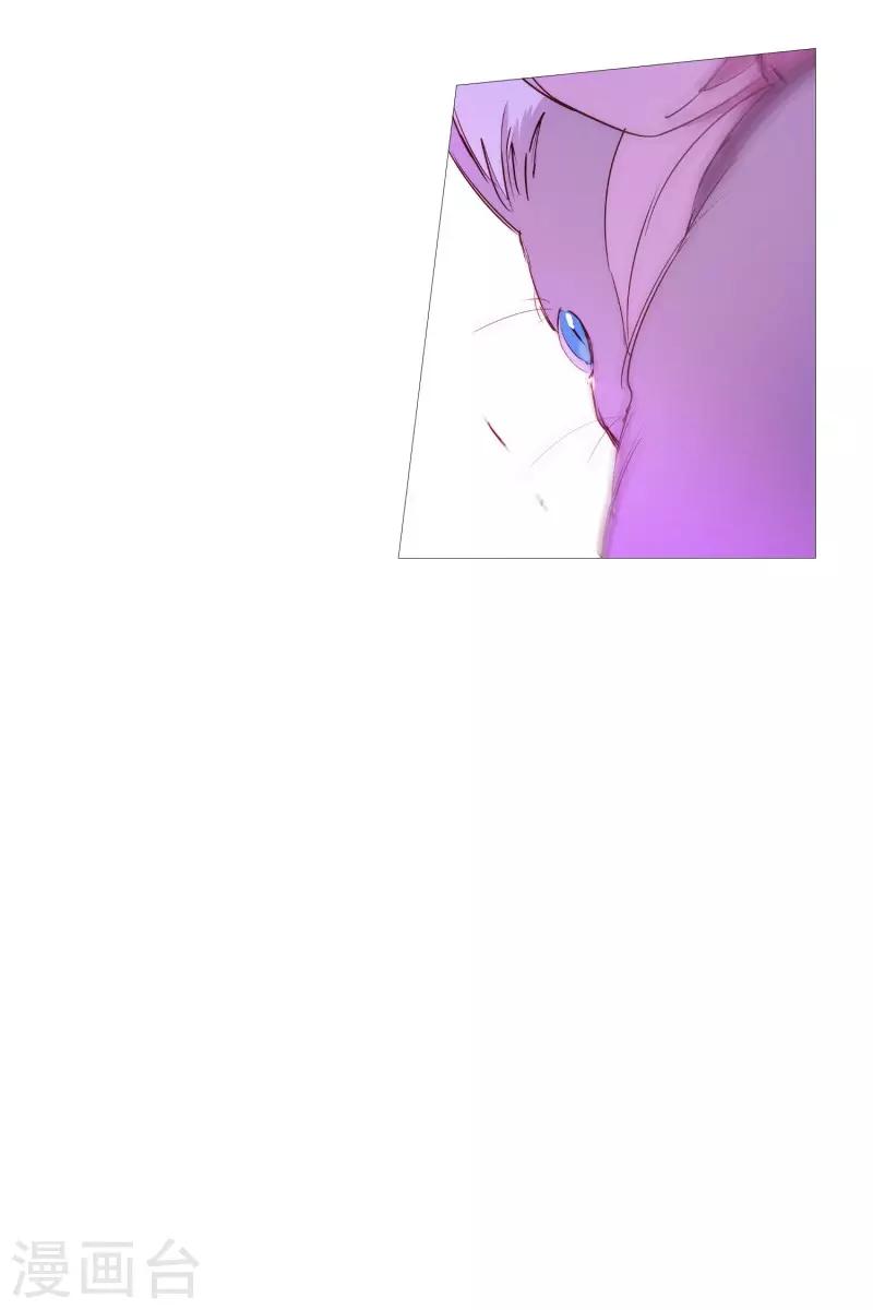 《动物灵魂管理局》第65话 猫灵 第9页