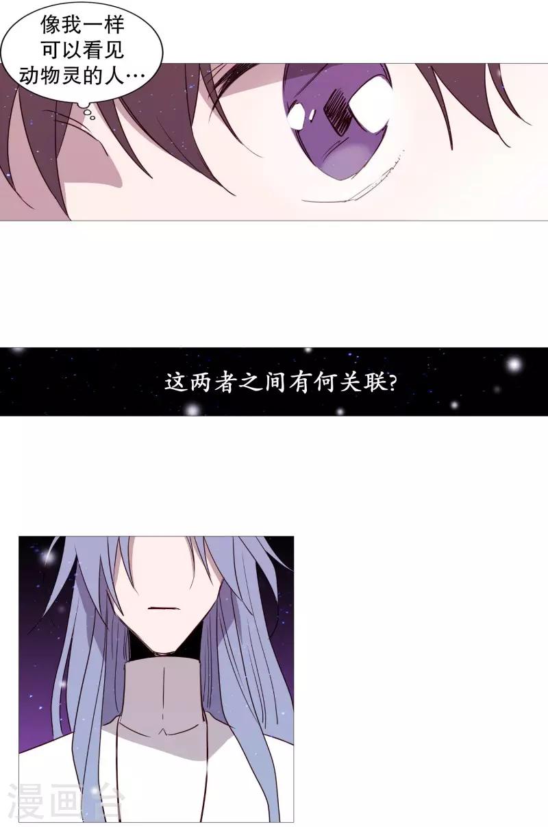 《动物灵魂管理局》第73话 消灭 第13页